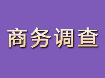 拜城商务调查